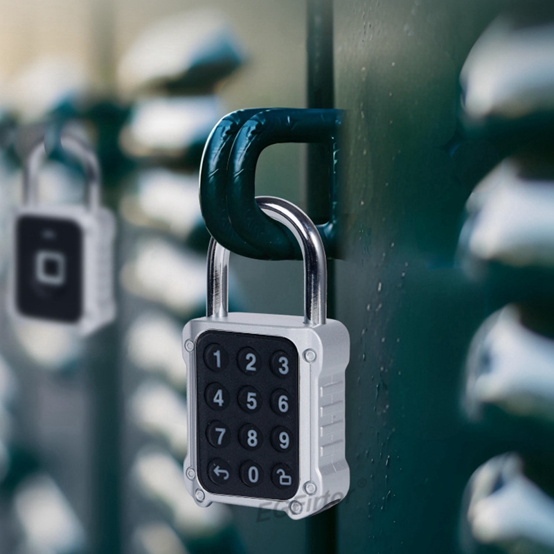 Tuya Bluetooth APP Remote Elec - Lockbox Key Secure avaliação e preço