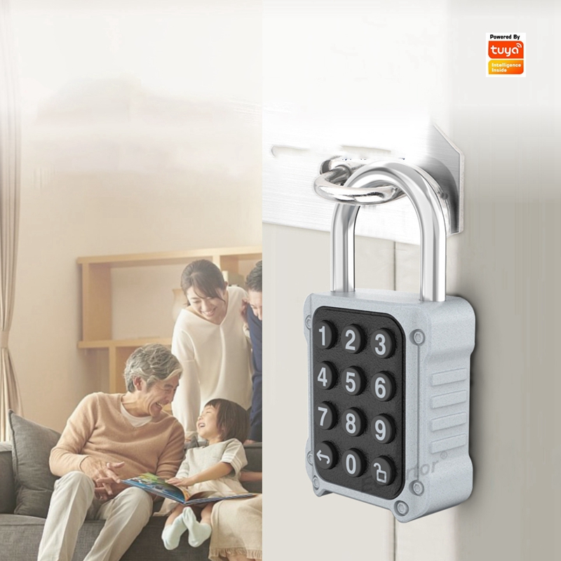 Tuya Bluetooth APP Remote Elec - Lockbox Key Secure avaliação e preço