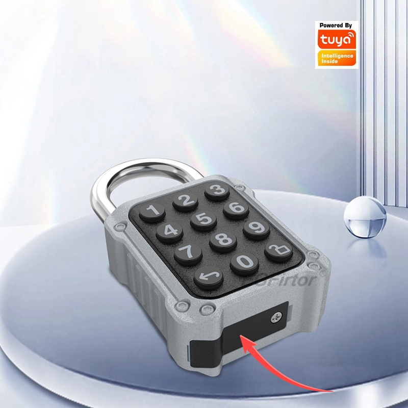EGFirtor Tuya APP Electronic S - Lockbox Key Secure avaliação e preço